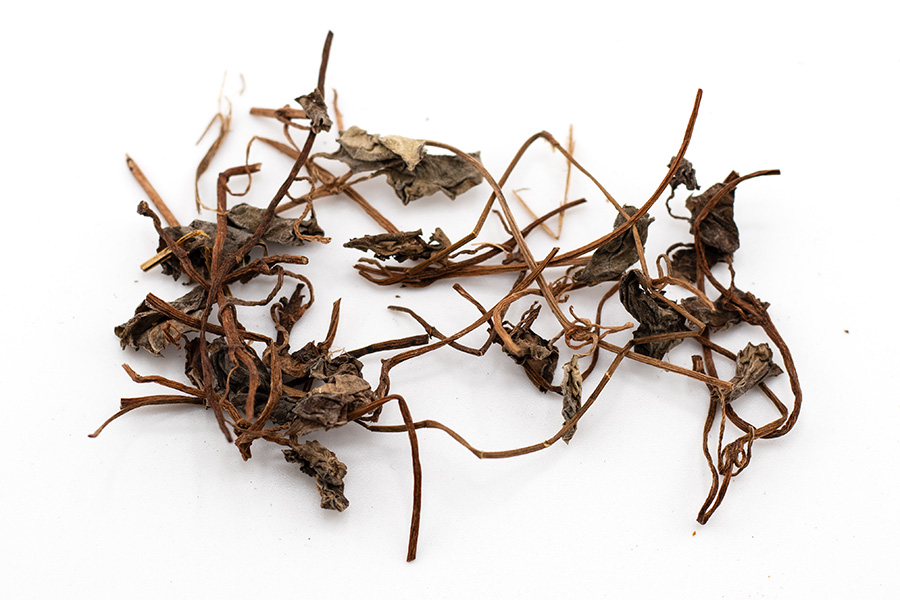 Jin Qian Cao - lysimachiae herba