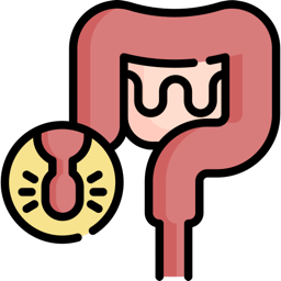 Intestine illustration with an inflamed appendix highlighted in a yellow circular inset