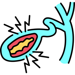 Gallbladder and bile duct with jagged pain lines