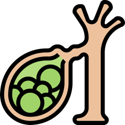Golden Herbs for Gallstones