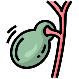 Green gallbladder connected to the bile duct