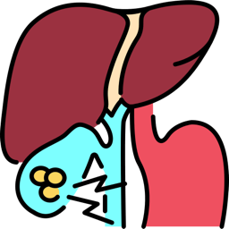 Liver and gallbladder illustration with gallstones and pain marks