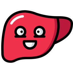 Smiling happy red liver character