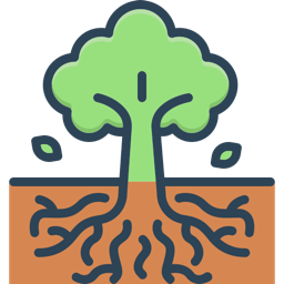 Tree with visible roots below ground and canopy above